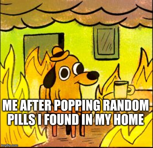 This is fine | ME AFTER POPPING RANDOM PILLS I FOUND IN MY HOME | image tagged in this is fine | made w/ Imgflip meme maker