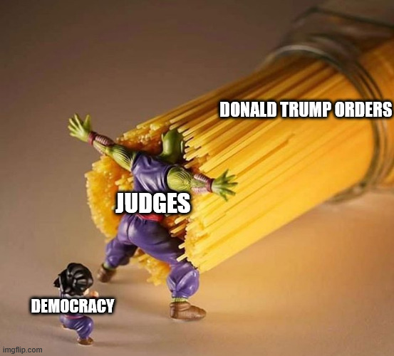 Judges to save the day | DONALD TRUMP ORDERS; JUDGES; DEMOCRACY | image tagged in dragon ball z pasta,donald trump,usa,democracy | made w/ Imgflip meme maker