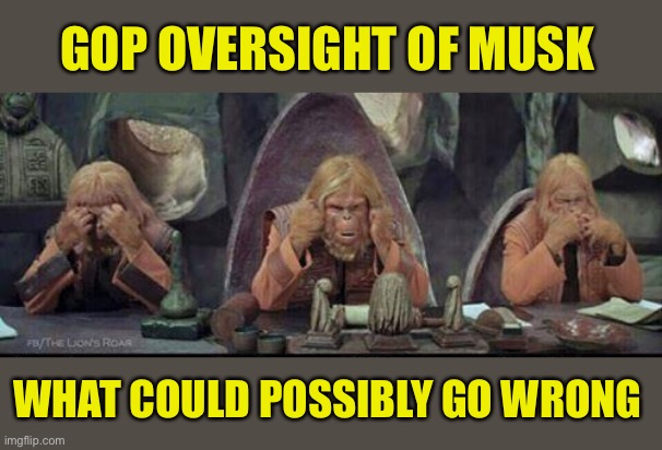 3 monkeys Planet of the Apes | GOP OVERSIGHT OF MUSK; WHAT COULD POSSIBLY GO WRONG | image tagged in 3 monkeys planet of the apes | made w/ Imgflip meme maker