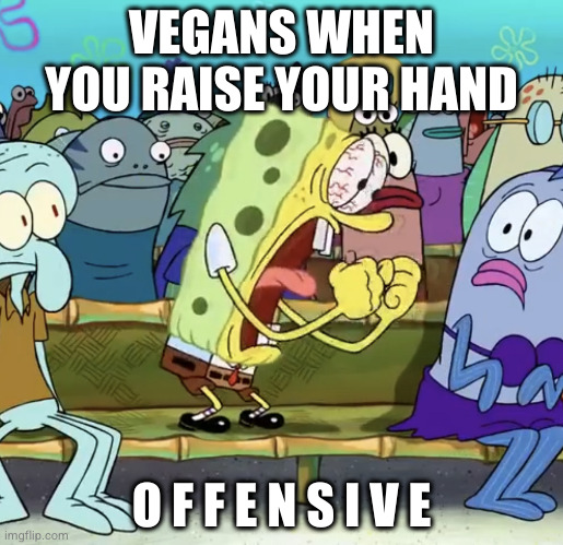 Nobody: Vegans | VEGANS WHEN YOU RAISE YOUR HAND; O F F E N S I V E | image tagged in spongebob yelling,vegan,vegans,screaming,offended,leftists | made w/ Imgflip meme maker