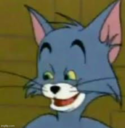 Smug tom | image tagged in smug tom | made w/ Imgflip meme maker