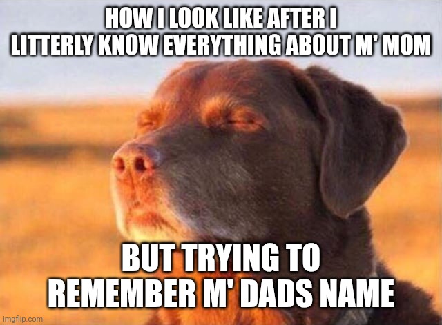 Dog close eye | HOW I LOOK LIKE AFTER I LITTERLY KNOW EVERYTHING ABOUT M' MOM; BUT TRYING TO REMEMBER M' DADS NAME | image tagged in dog close eye | made w/ Imgflip meme maker