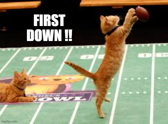 memes by Brad - Cat plays football and makes a first down - humor - | FIRST DOWN !! | image tagged in cats,football,kitten,tired,super bowl,funny | made w/ Imgflip meme maker