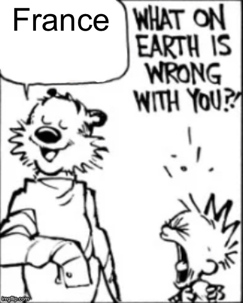 What on earth is wrong with you | France | image tagged in what on earth is wrong with you | made w/ Imgflip meme maker