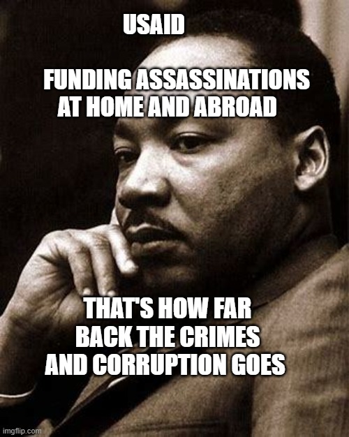 MLK Jr and Scandinavian Democrat Socialism (Social Democracy). | USAID                          FUNDING ASSASSINATIONS AT HOME AND ABROAD; THAT'S HOW FAR BACK THE CRIMES AND CORRUPTION GOES | image tagged in mlk jr and scandinavian democrat socialism social democracy | made w/ Imgflip meme maker