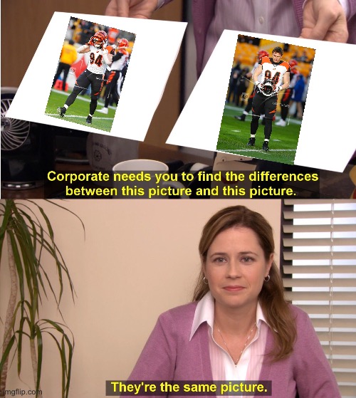 Bengals Meme | image tagged in memes,they're the same picture | made w/ Imgflip meme maker