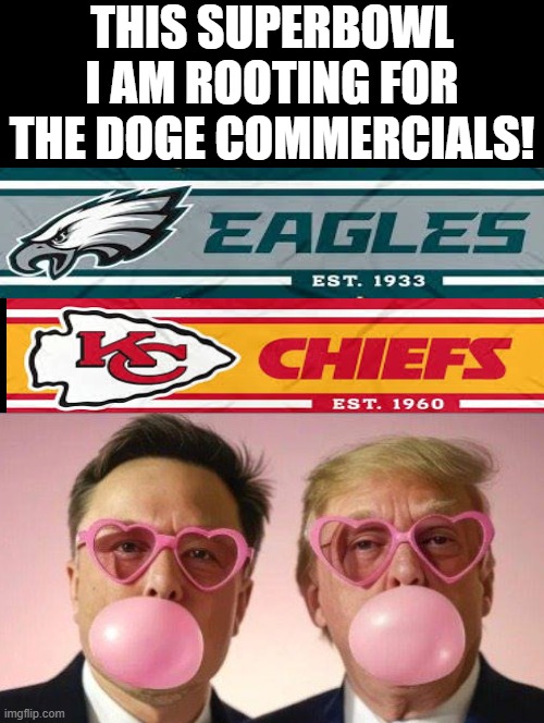 This Superbowl, I am rooting for the DOGE commercials! | THIS SUPERBOWL I AM ROOTING FOR THE DOGE COMMERCIALS! | image tagged in doge | made w/ Imgflip meme maker