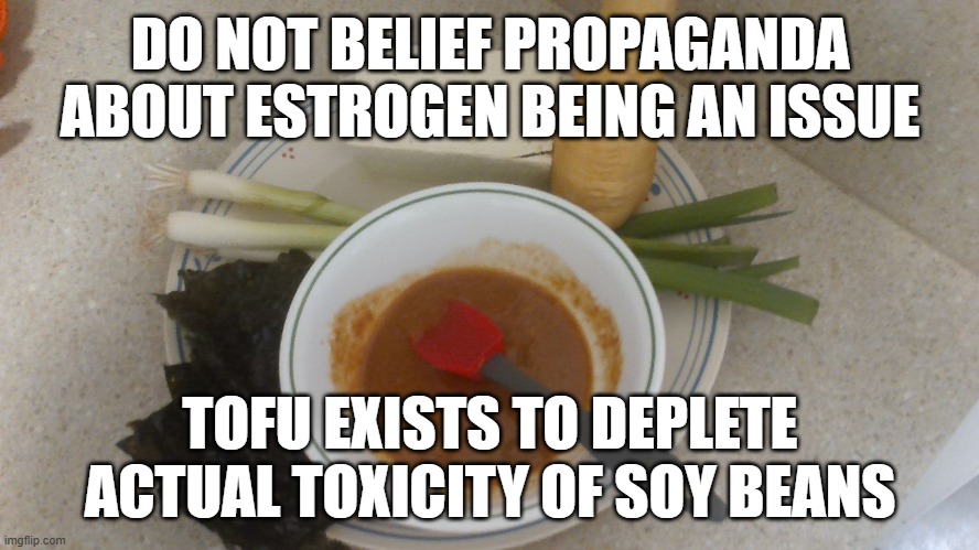 rare food share | DO NOT BELIEF PROPAGANDA ABOUT ESTROGEN BEING AN ISSUE; TOFU EXISTS TO DEPLETE ACTUAL TOXICITY OF SOY BEANS | image tagged in tofu,saponins,fermentation,non-extrema health concerns,fatal,fetal | made w/ Imgflip meme maker