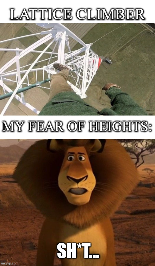 Sugar honey ice tea | LATTICE CLIMBER; MY FEAR OF HEIGHTS:; SH*T... | image tagged in climbing,madagascar,lattice climbing,lion,alex the lion,meme | made w/ Imgflip meme maker