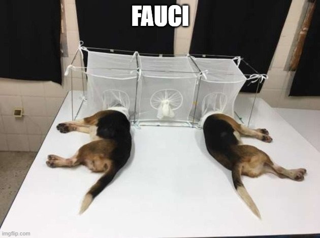 Anthony Fauci Loves Dogs and People | FAUCI | image tagged in anthony fauci loves dogs and people | made w/ Imgflip meme maker