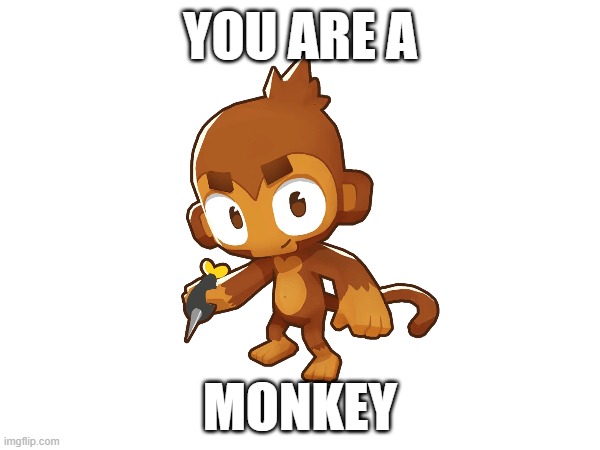 You are a monkey | YOU ARE A; MONKEY | image tagged in btd6 | made w/ Imgflip meme maker