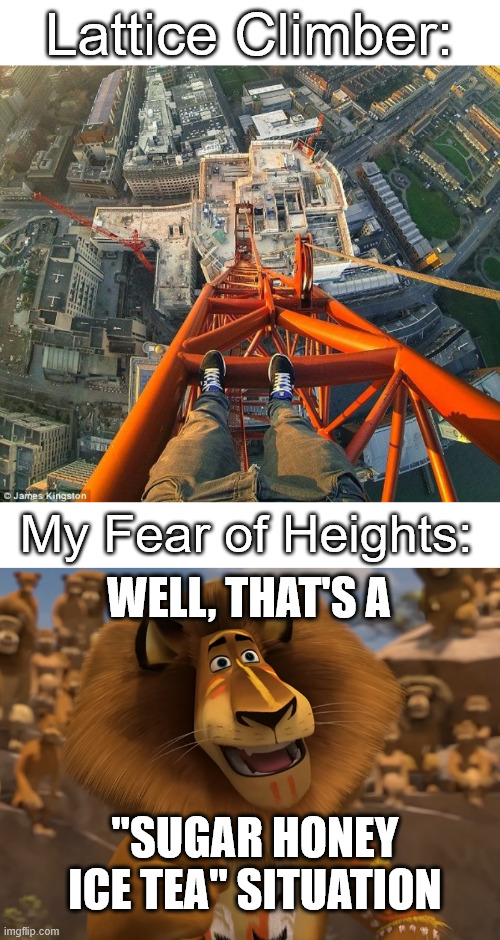 Sugar honey ice tea | Lattice Climber:; My Fear of Heights:; WELL, THAT'S A; ''SUGAR HONEY ICE TEA'' SITUATION | image tagged in lattice climbing,madagascar,alex the lion,meme,climbing,dark humor | made w/ Imgflip meme maker