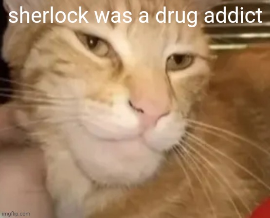 cat mewing | sherlock was a drug addict | image tagged in cat mewing | made w/ Imgflip meme maker