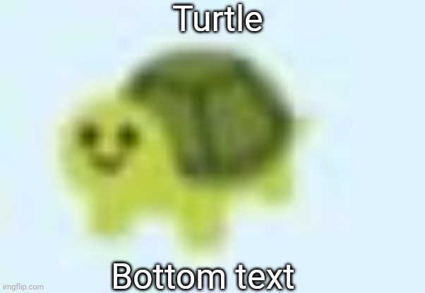 low quality turtle | Turtle; Bottom text | image tagged in low quality turtle | made w/ Imgflip meme maker