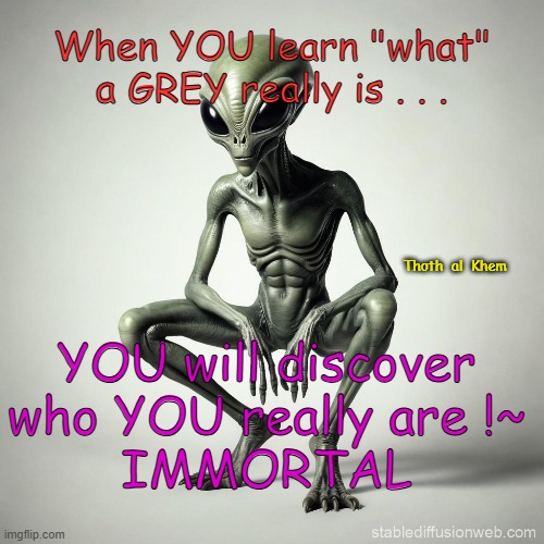 Grey Alien | When YOU learn "what" a GREY really is . . . Thoth  al  Khem; YOU will discover who YOU really are !~
IMMORTAL | image tagged in greys,aliens,gods,immortal jesus,jesus,you are a god | made w/ Imgflip meme maker