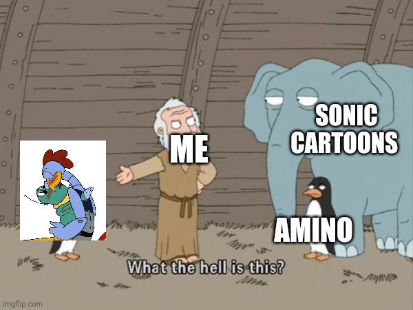 Here's today's Meme of the day | SONIC CARTOONS; ME; AMINO | image tagged in what the hell is this | made w/ Imgflip meme maker