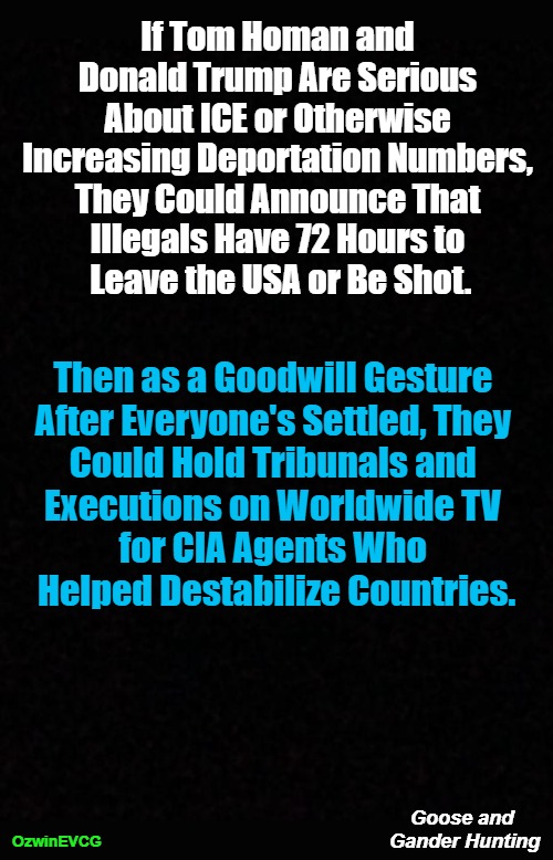 Goose and Gander Hunting | If Tom Homan and 

Donald Trump Are Serious 

About ICE or Otherwise 

Increasing Deportation Numbers, 

They Could Announce That 

Illegals Have 72 Hours to 

Leave the USA or Be Shot. Then as a Goodwill Gesture 

After Everyone's Settled, They 

Could Hold Tribunals and 

Executions on Worldwide TV 

for CIA Agents Who 

Helped Destabilize Countries. Goose and 

Gander Hunting; OzwinEVCG | image tagged in tom homan,donald trump,deportation,illegals,cia,the struggle | made w/ Imgflip meme maker