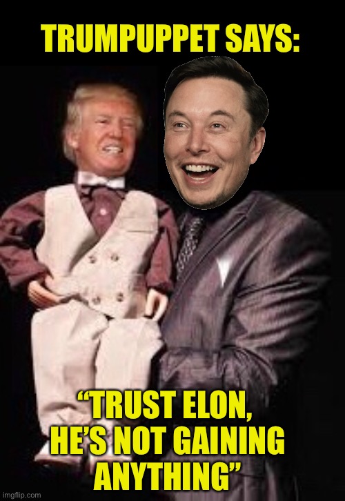 Trumpuppet says… | TRUMPUPPET SAYS:; “TRUST ELON, 
HE’S NOT GAINING
ANYTHING” | image tagged in donald trump,trump,elon musk,puppet,politics,political meme | made w/ Imgflip meme maker