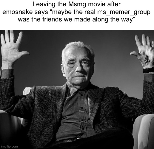 Absolute Cinema | Leaving the Msmg movie after emosnake says “maybe the real ms_memer_group was the friends we made along the way” | image tagged in absolute cinema | made w/ Imgflip meme maker