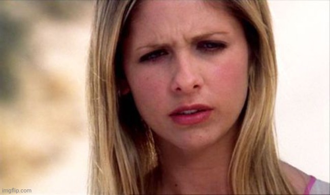 Buffy The Vampire Slayer WTF | image tagged in buffy the vampire slayer wtf | made w/ Imgflip meme maker