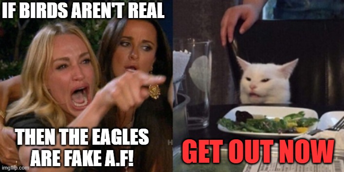 superbowl 2025 | IF BIRDS AREN'T REAL; THEN THE EAGLES ARE FAKE A.F! GET OUT NOW | image tagged in superbowl,funny memes | made w/ Imgflip meme maker