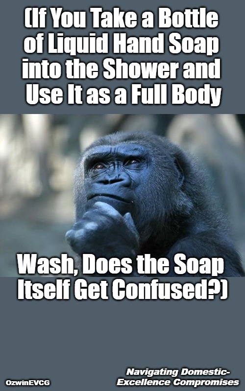 Navigating Domestic-Excellence Compromises | (If You Take a Bottle 

of Liquid Hand Soap 

into the Shower and 

Use It as a Full Body; Wash, Does the Soap 

Itself Get Confused?); Navigating Domestic-

Excellence Compromises; OzwinEVCG | image tagged in deep thoughts,hand soap,golden showers,body soap,the struggle,domestic excellence | made w/ Imgflip meme maker