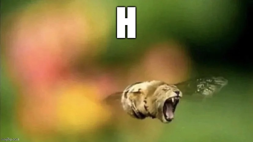 Bee Lion | H | image tagged in bee lion | made w/ Imgflip meme maker