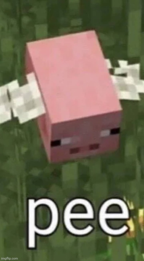 Minecraft Pee | image tagged in minecraft pee | made w/ Imgflip meme maker