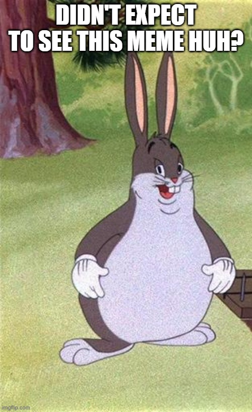 remember me | DIDN'T EXPECT TO SEE THIS MEME HUH? | image tagged in big chungus | made w/ Imgflip meme maker