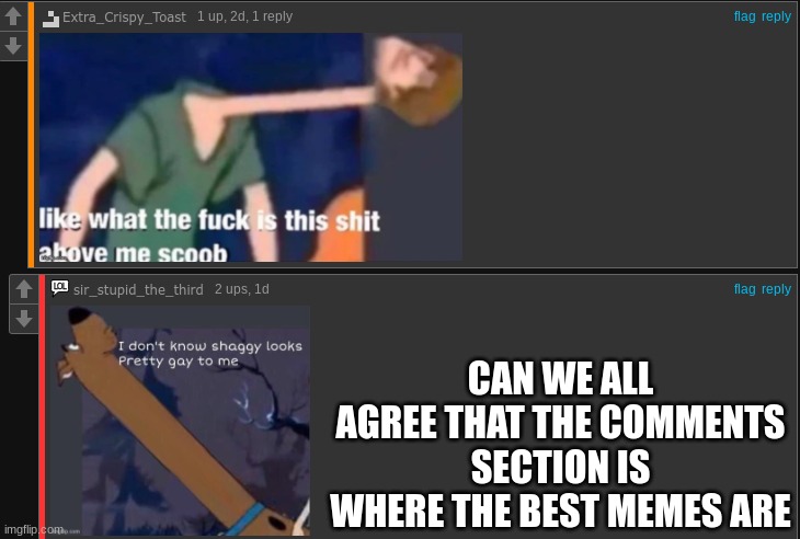 Shoutout to Extra_Crispy_Toast and sir_stupid_the_third | CAN WE ALL AGREE THAT THE COMMENTS SECTION IS WHERE THE BEST MEMES ARE | image tagged in timing | made w/ Imgflip meme maker