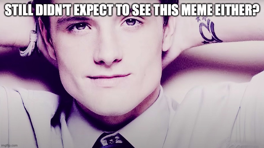 Josh hutcherson whistle | STILL DIDN'T EXPECT TO SEE THIS MEME EITHER? | image tagged in josh hutcherson whistle | made w/ Imgflip meme maker