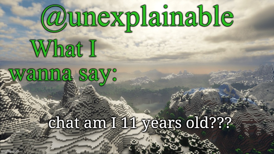 What I have to say: | chat am I 11 years old??? | image tagged in what i have to say | made w/ Imgflip meme maker
