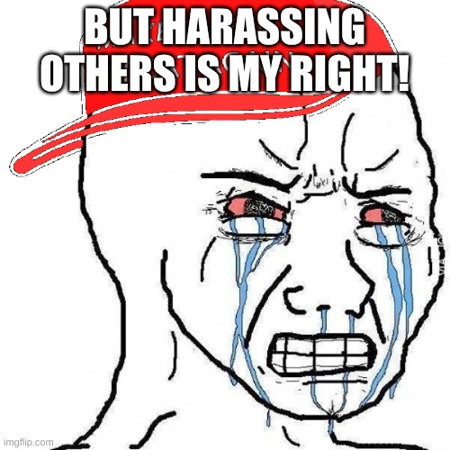 Crying wojak maga | BUT HARASSING OTHERS IS MY RIGHT! | image tagged in crying wojak maga | made w/ Imgflip meme maker