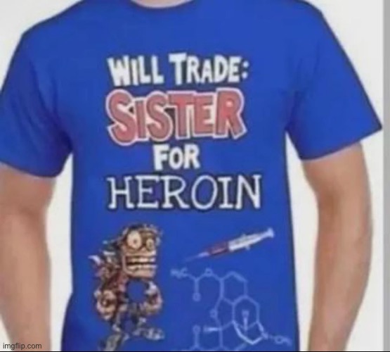 If I ever had a sister | made w/ Imgflip meme maker
