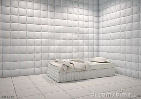 insane asylum pillow room | image tagged in insane asylum pillow room | made w/ Imgflip meme maker