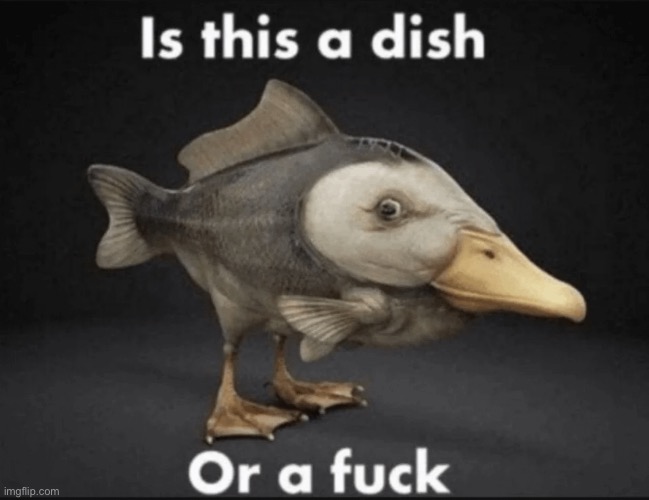 Is this a dish, or a F | image tagged in is this a dish or a f | made w/ Imgflip meme maker