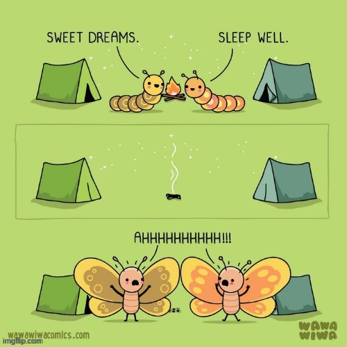 Campfire | image tagged in camp,campfire,comics,comics/cartoons,butterflies,butterfly | made w/ Imgflip meme maker