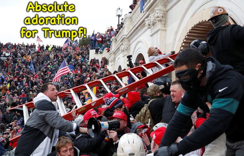 Qanon - Insurrection - Trump riot - sedition | Absolute 
adoration 
for Trumpf! | image tagged in qanon - insurrection - trump riot - sedition | made w/ Imgflip meme maker