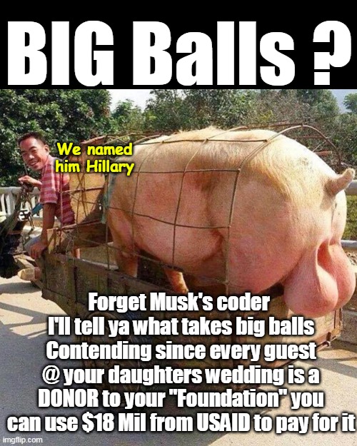 To quote a Stable Genius: "YOU'D BE IN JAIL" | BIG Balls ? We named him Hillary; Forget Musk's coder 
I'll tell ya what takes big balls
Contending since every guest @ your daughters wedding is a DONOR to your "Foundation" you can use $18 Mil from USAID to pay for it | image tagged in hillary chelsea wedding big balls meme | made w/ Imgflip meme maker