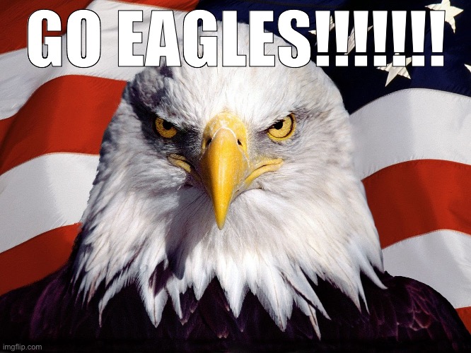 Freedom Eagle | GO EAGLES!!!!!!! | image tagged in freedom eagle | made w/ Imgflip meme maker