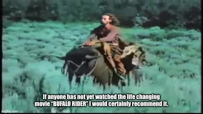 Jesus riding a Buffalo | If anyone has not yet watched the life changing movie “BUFALO RIDER” I would certainly recommend it. | image tagged in cowboy,wtf,movies | made w/ Imgflip meme maker