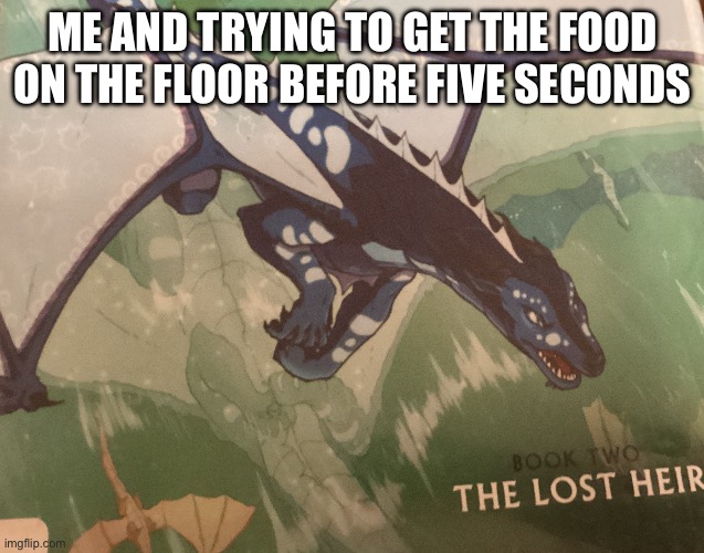 Five second race | ME AND TRYING TO GET THE FOOD ON THE FLOOR BEFORE FIVE SECONDS | image tagged in wings of fire,food | made w/ Imgflip meme maker