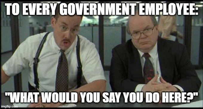 Office Space Bobs | TO EVERY GOVERNMENT EMPLOYEE:; "WHAT WOULD YOU SAY YOU DO HERE?" | image tagged in office space bobs | made w/ Imgflip meme maker