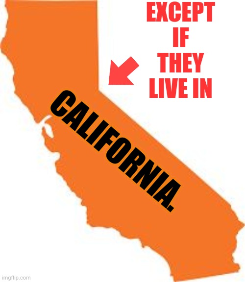 california | EXCEPT IF THEY LIVE IN CALIFORNIA. | image tagged in california | made w/ Imgflip meme maker