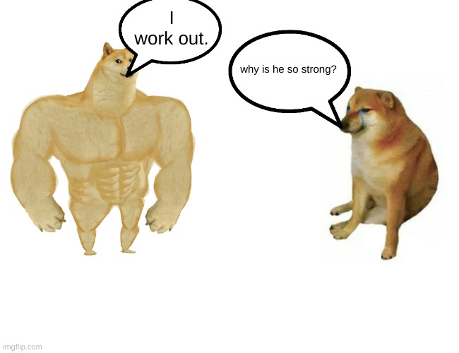 why are you so strong? | I work out. why is he so strong? | image tagged in memes,buff doge vs cheems | made w/ Imgflip meme maker