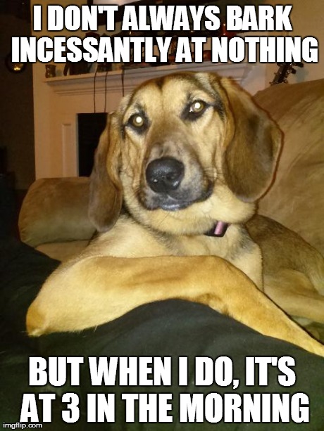 The Most Interesting Dog In The World | I DON'T ALWAYS BARK INCESSANTLY AT NOTHING BUT WHEN I DO, IT'S AT 3 IN THE MORNING | image tagged in the most interesting dog in the world | made w/ Imgflip meme maker
