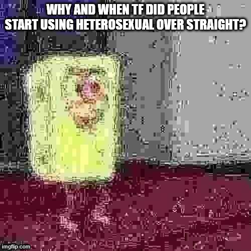 its so pointless just use one | WHY AND WHEN TF DID PEOPLE START USING HETEROSEXUAL OVER STRAIGHT? | image tagged in spagbob | made w/ Imgflip meme maker