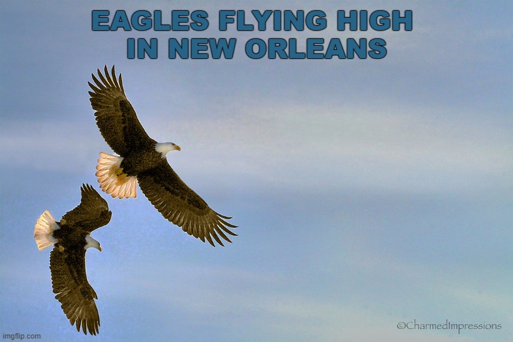 Superbowl 2025 | EAGLES FLYING HIGH 
IN NEW ORLEANS | image tagged in football | made w/ Imgflip meme maker