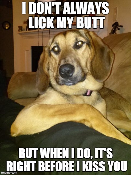 The Most Interesting Dog In The World | I DON'T ALWAYS LICK MY BUTT BUT WHEN I DO, IT'S RIGHT BEFORE I KISS YOU | image tagged in the most interesting dog in the world | made w/ Imgflip meme maker