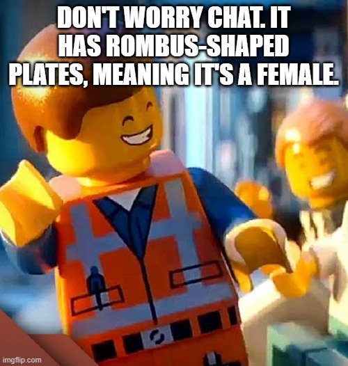 DON'T WORRY CHAT. IT HAS ROMBUS-SHAPED PLATES, MEANING IT'S A FEMALE. | image tagged in dont worry | made w/ Imgflip meme maker